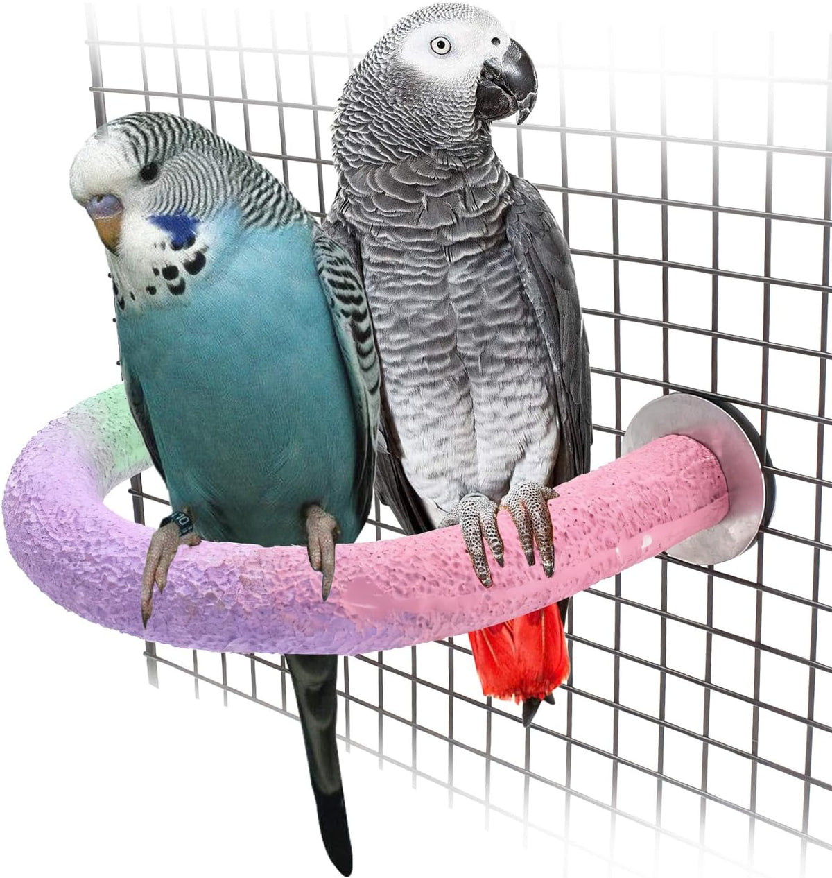 U Shape Parrot Perch Cage for 4cm Large Pad Fits Bird perches