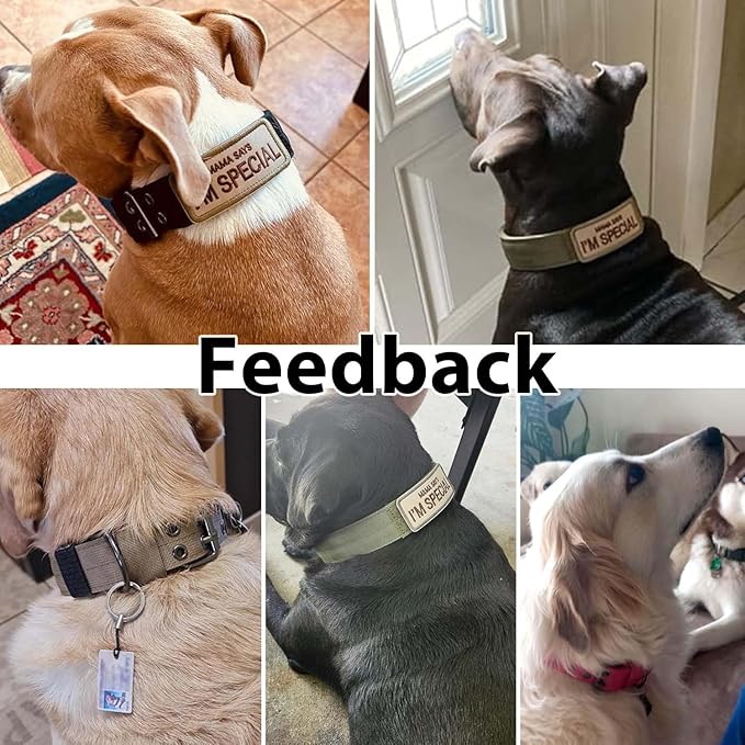Tactical Dog Collar Military Adjustable Dog Collars Soft Nylon Training Collar - Image 6