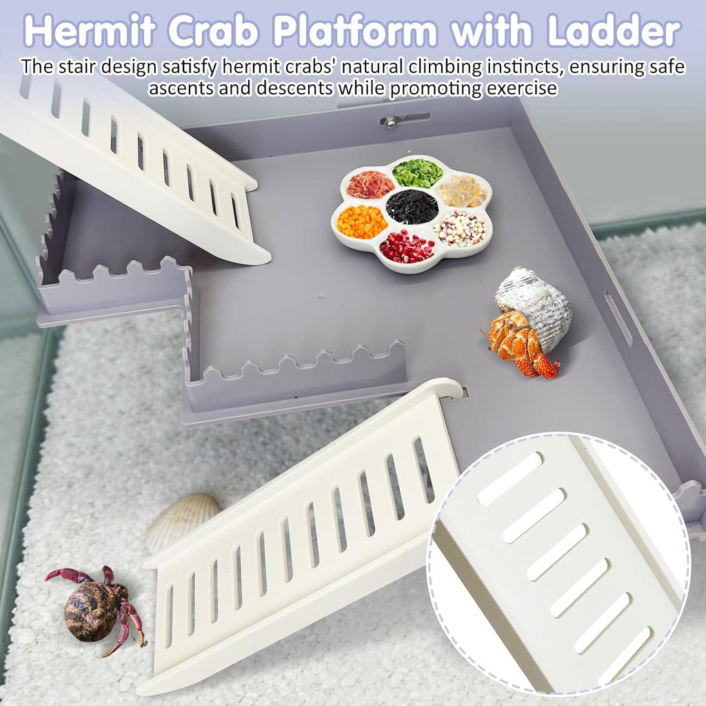 Hermit Crab Climbing Platform Habitat Tank Accessories