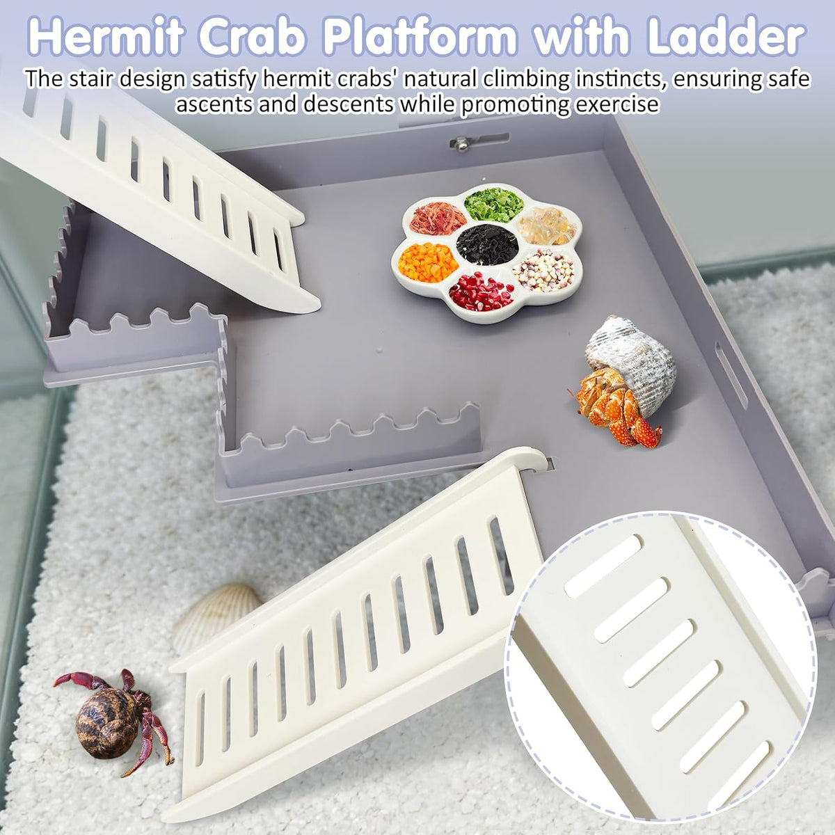 Hermit Crab Climbing Platform Habitat Tank Accessories