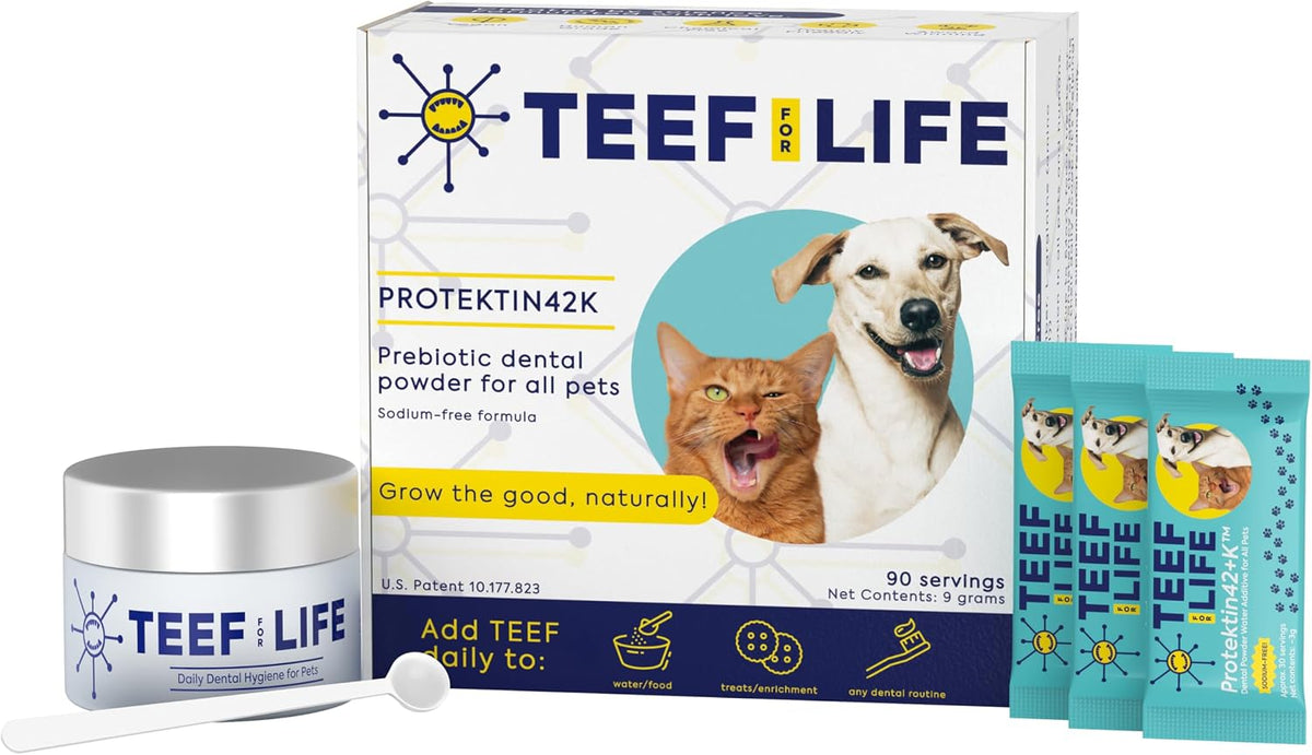 TEEF FOR LIFE Protektin42K Prebiotic Cat & Dog Dental Powder Kit