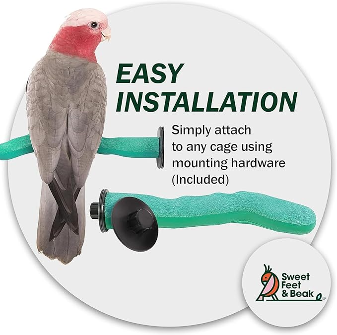 Sweet Feet and Beak Brid Cage Safety Pumice Perch - Image 6