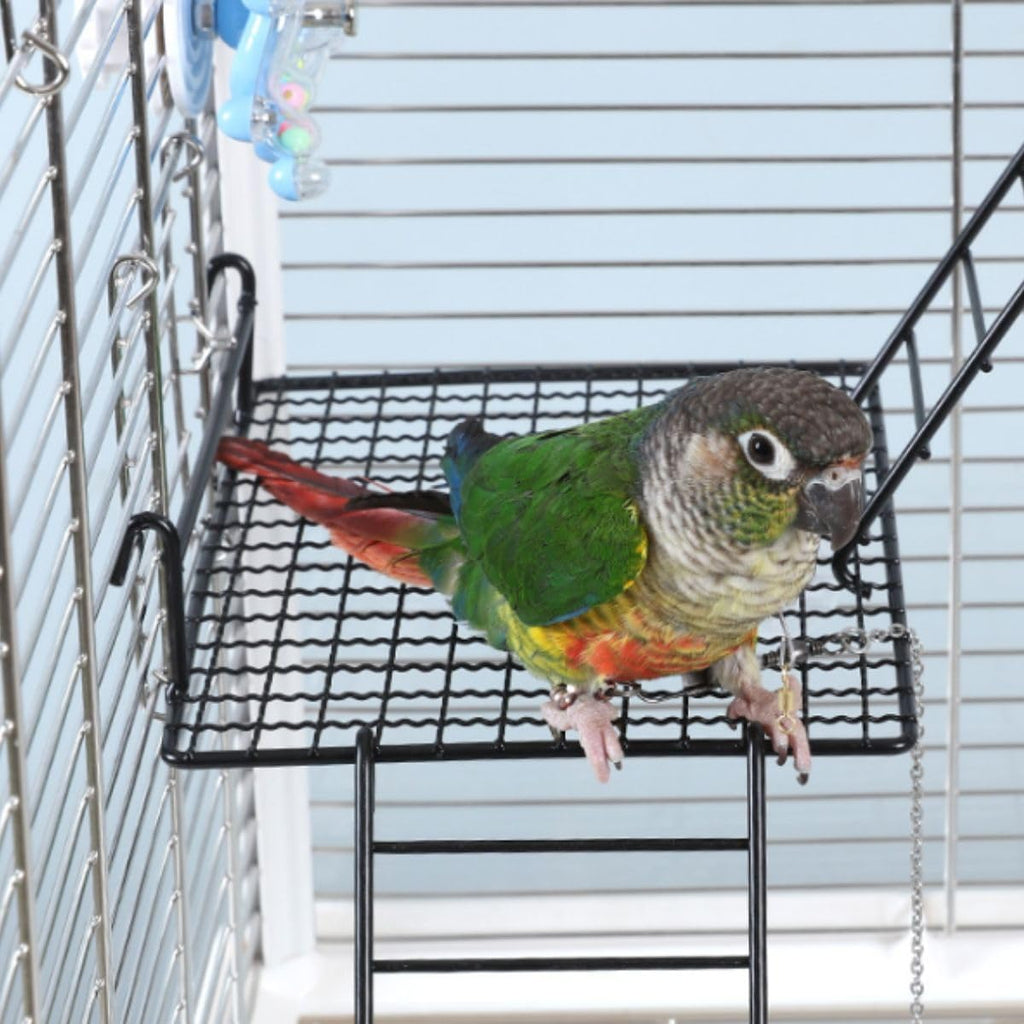 Anti-bite Metal Breathable Bird Cage Platforms with Ladders, Hanging Platforms for Bird Cage, Expand Space Inside The Cage, Suitable for Rats,Conures (2 Large Platforms & 2 Ladders)