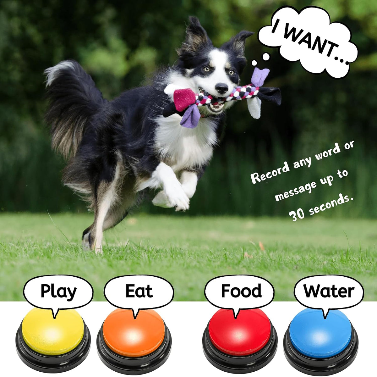 6 Pack Voice Recording Button, 6 Colors Dog Buttons for Communication Pet Training Buzzer, 30 Seconds Record & Playback, Funny Record Buttons for Pet, Classroom, Office, Home