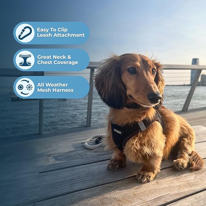 Best Pet Supplies Voyager Step-in Air All Weather Mesh Harness and Reflective - Image 6