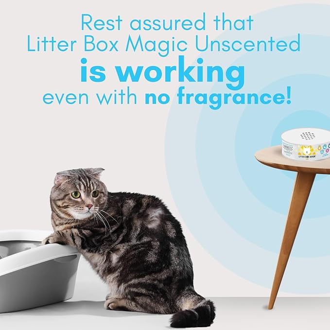 Cat Litter Deodorizer Jar - Image 8