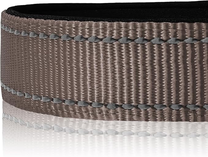 Joytale Reflective Dog Collar, Soft Neoprene Padded, Metal D-Ring, Nylon Pet - Image 4