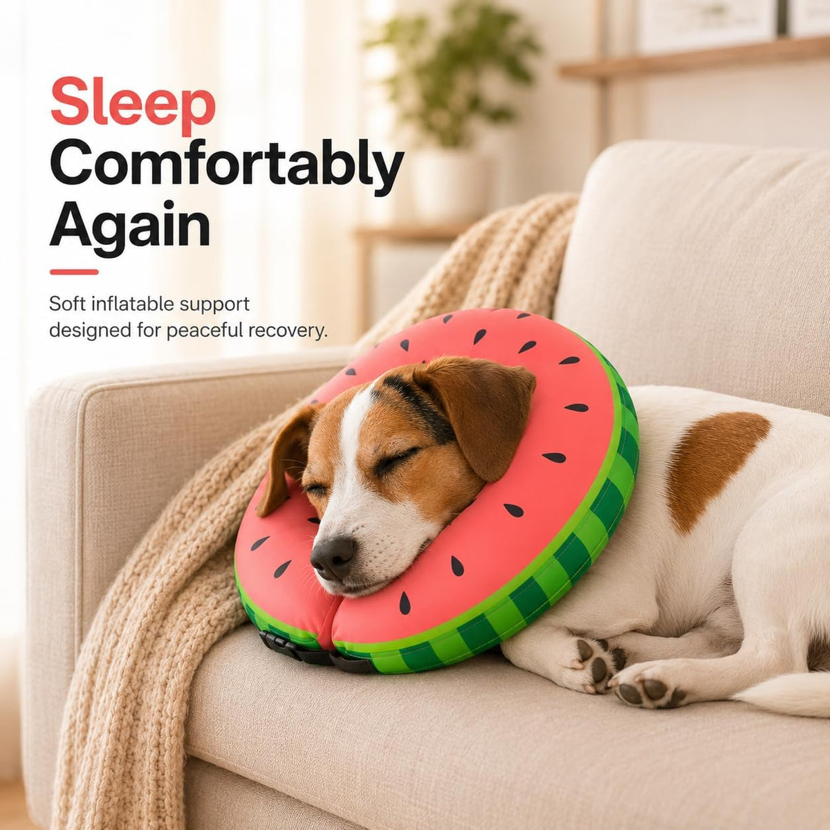MIDOG Inflatable Dog Cone After Surgery, Donut Collar for Large Dogs, L