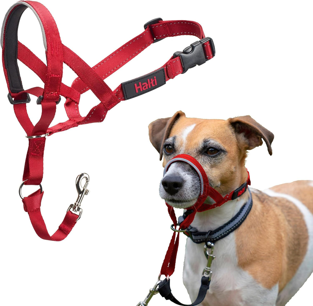 Halti Headcollar | Size 4, Red | Training Collar for Large Dogs