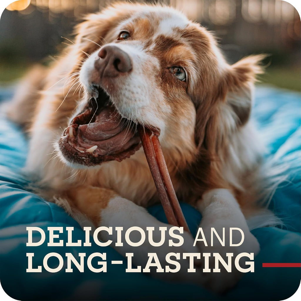 Redbarn 5"-8" Bully Sticks 100% Natural, Long Lasting, Rawhide Free, 8 oz