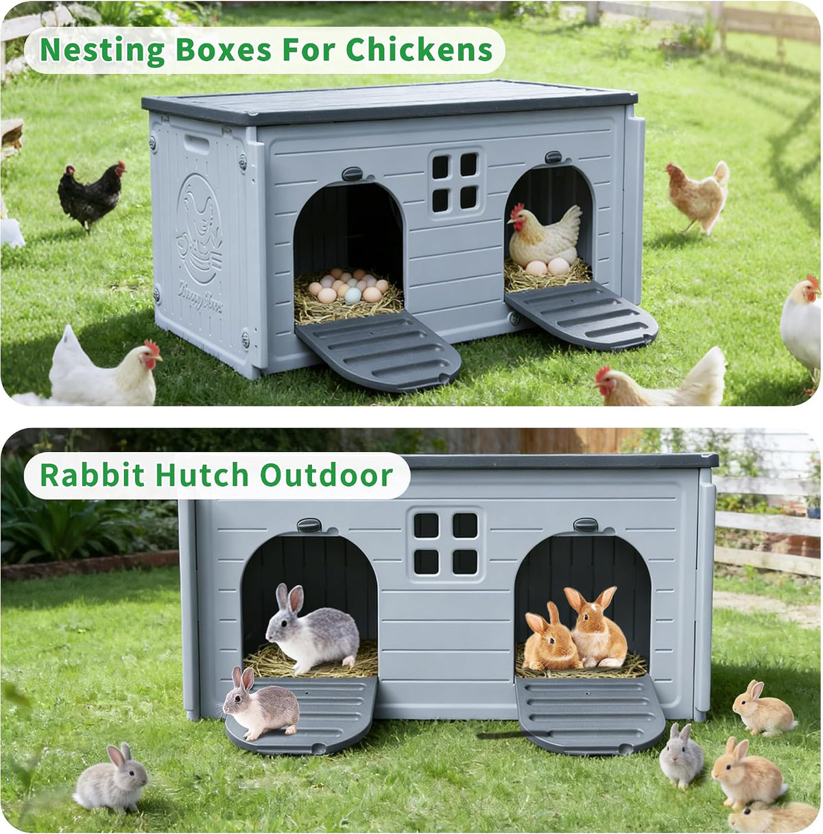 Nesting Boxes for Chickens, Plastic Chicken Nesting Box with Door Or Ramp