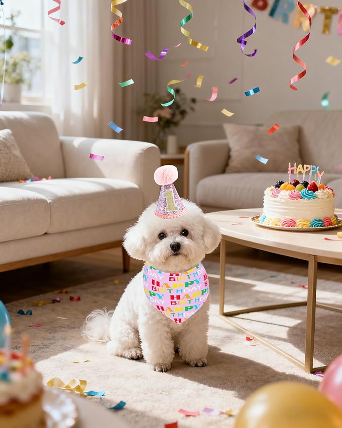 PET SHOW Small Dog Birthday Party Hat - Image 7