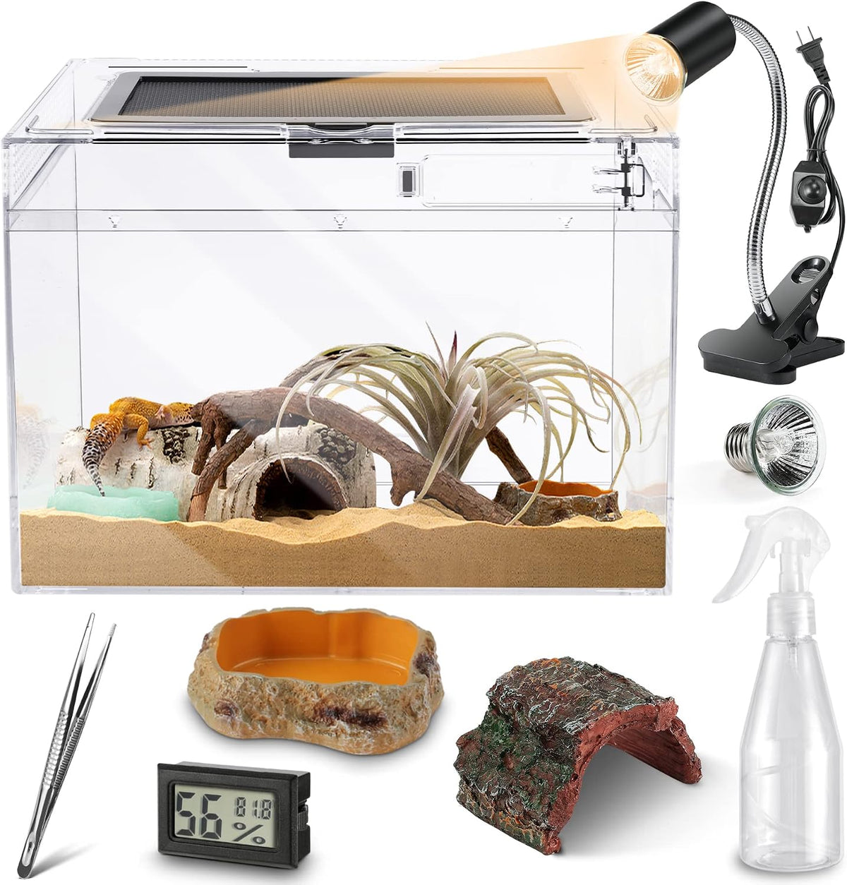 PC Small Reptile Terrarium Starter Kit,Magnetic Jumping Spider Enclosure