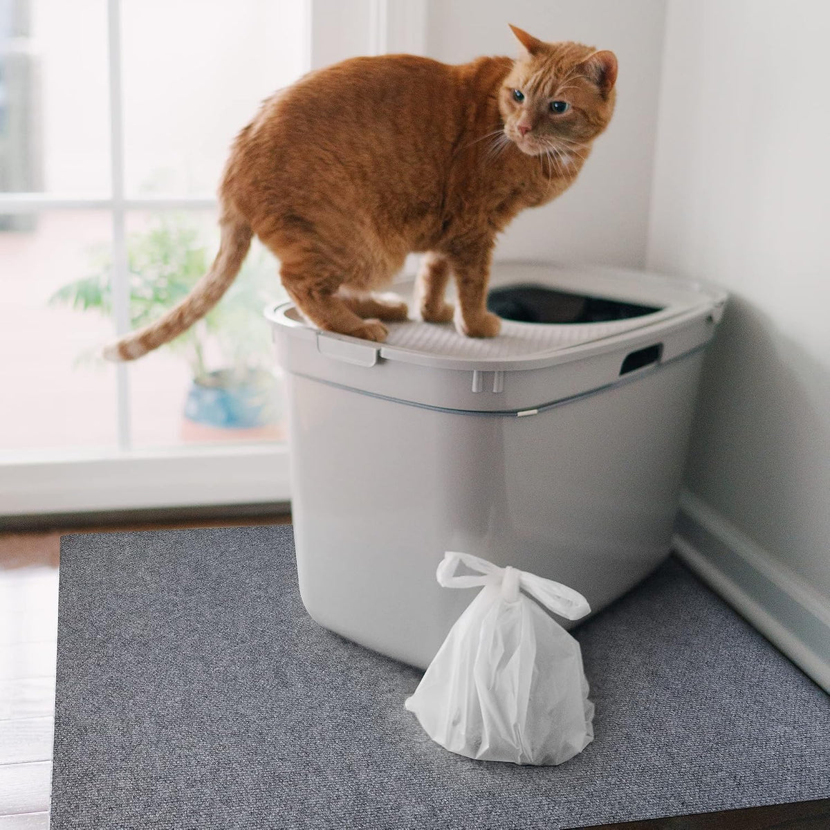 Cat Litter Mat by Americat – 36 x 28 Inches Machine Washable for Easy Clean, Waterproof & Made in USA – X Large Mat Traps Litter Around Cat Litter Box & Protects Floors