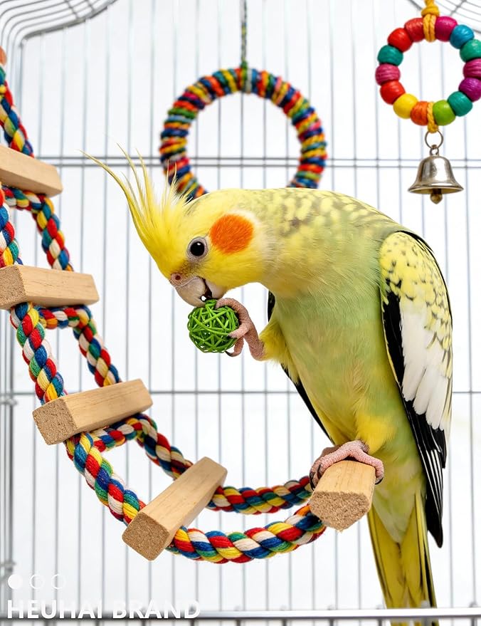 22-Pack Bird Toys for Parakeets & Small Birds – Colorful Cage Fun - Image 5