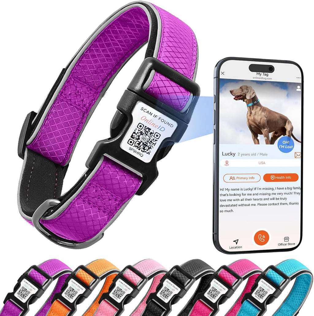 Personalized Dog Collar with QR Code Dog Tag, Purple,