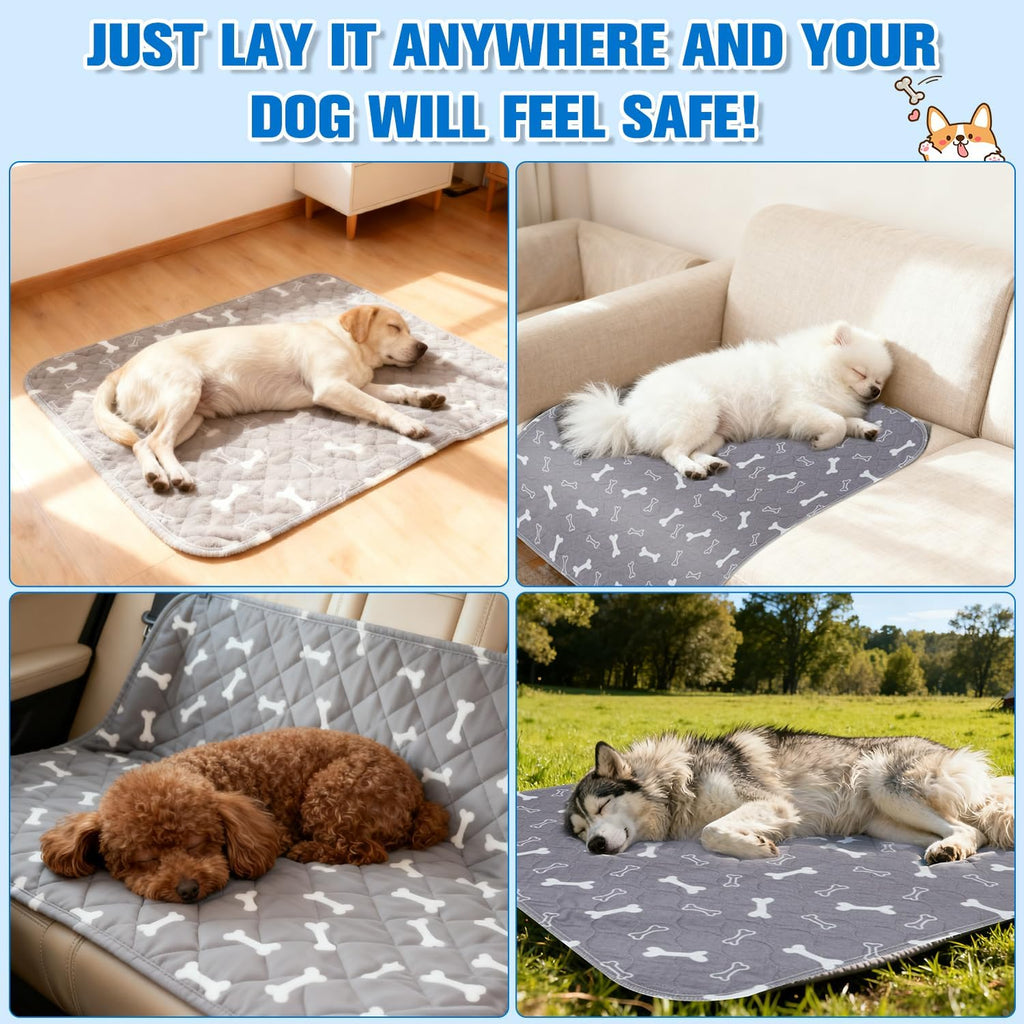 2 Pack Puppy Pee Pads with Pheromones, Washable Puppy Pads for Dogs,Leak-Proof & Anti-Slip,Reusable Absorbent Dog Training Pad for for Playpen,Whelping Box,Potty Training(15.7" × 23.6")