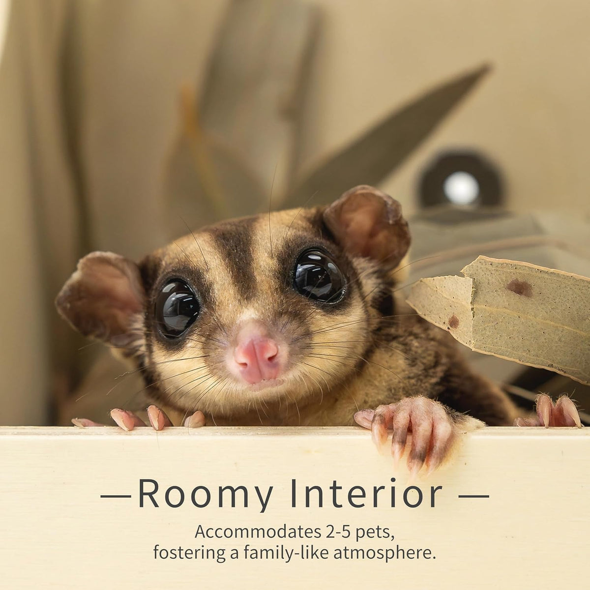 Sugar Glider Nest Nesting Box House for cage， Small Animal Accessories，Made of Wood, Easy to Clean，Toys Supplies
