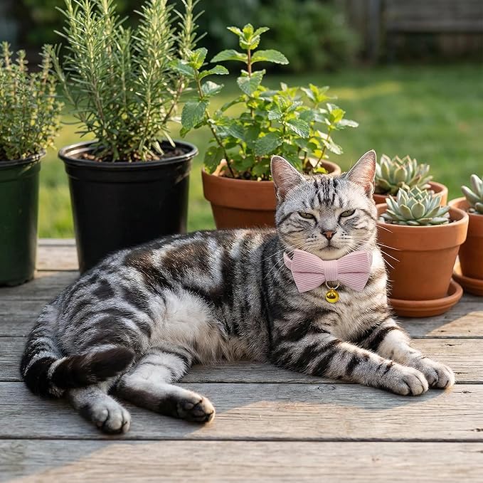 THAIN Cat Collar with Bow Tie and Bell, Breakaway Adjustable Cute Soft Corduroy - Image 5