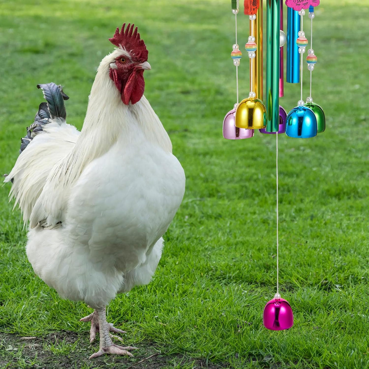 VioraWhite 7 Pcs Chicken Toys, Mirror Grinding Stone, Yellow, Purple
