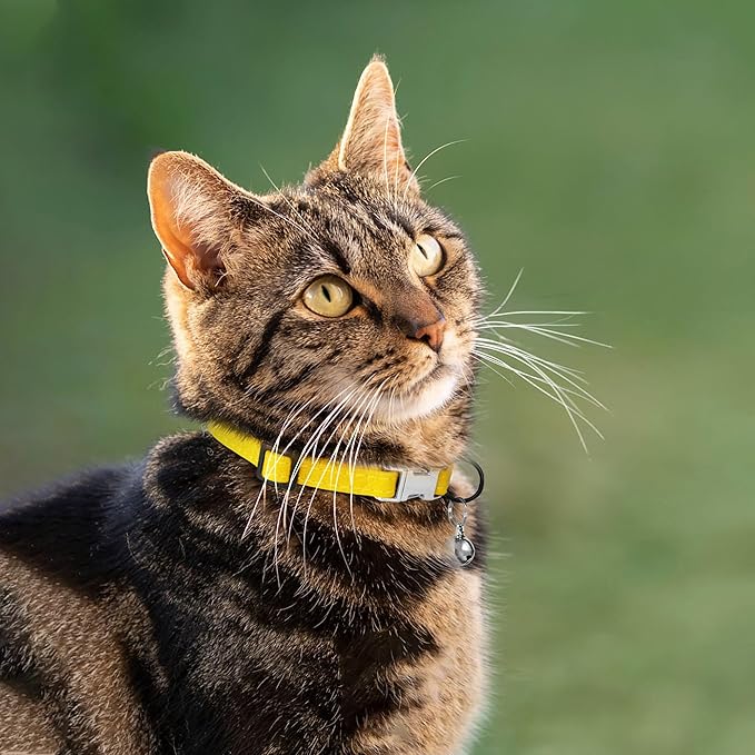 Leather Cat Collar with Buckle and Removable Bell - Image 6