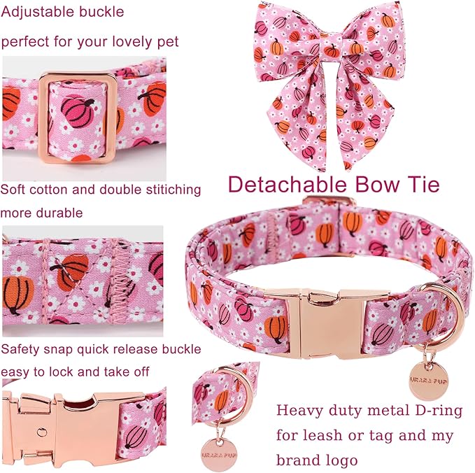 Halloween Pumpkin Dog Collar - Image 2