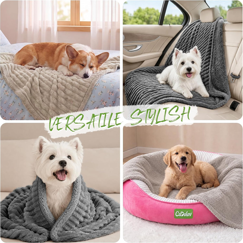 Waterproof Dog Blanket, Washable Reversible Pet Blankets, 38x56in, Grey