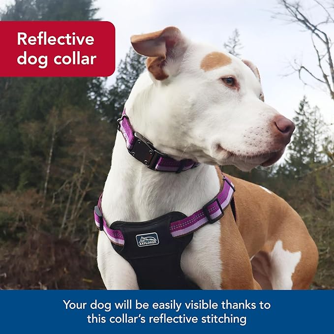 Coastal Pet K9 Explorer Reflective Adjustable Dog Collar - Image 4