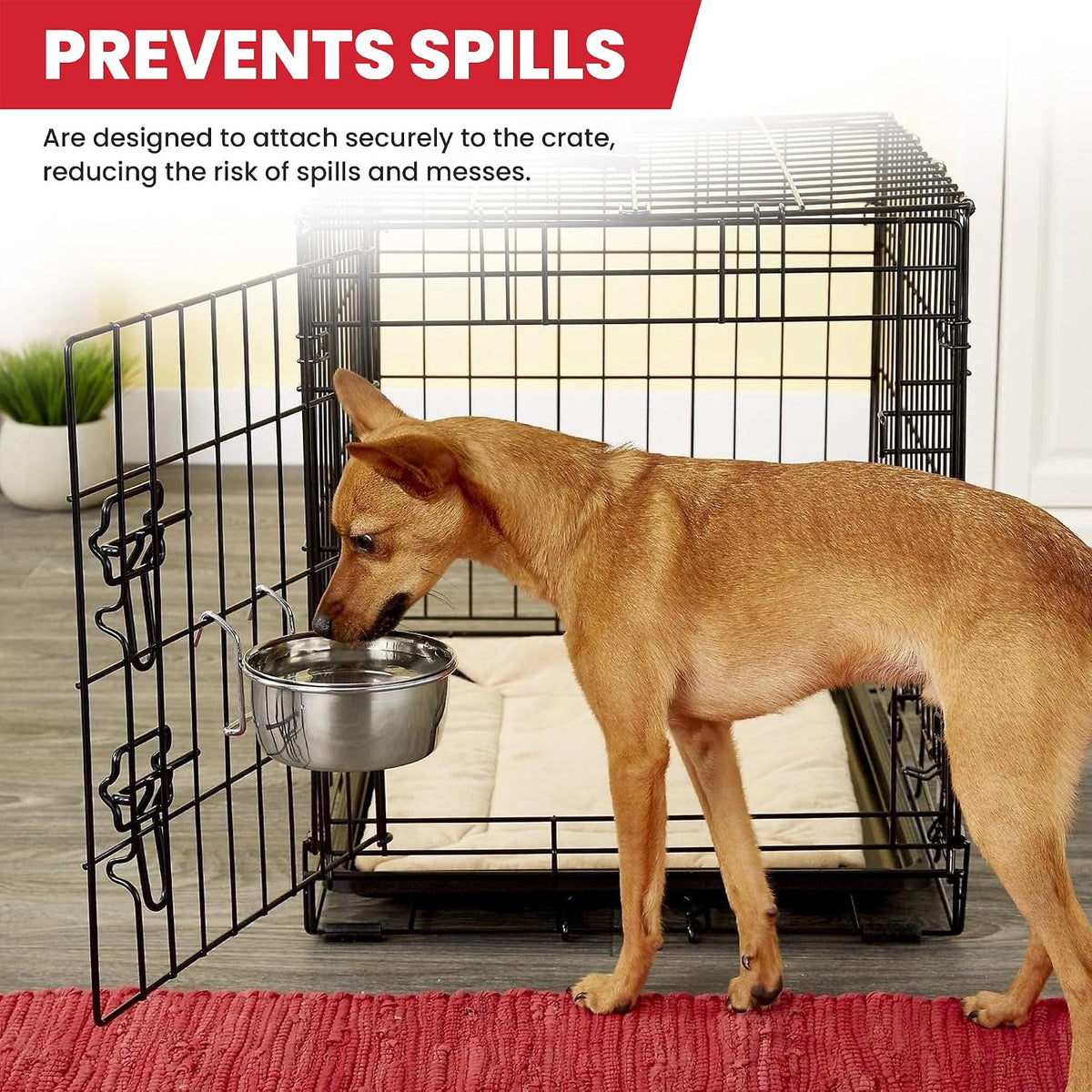 SPOT Coop Cup Wire Hanger - Stainless Steel Hanging Bowl for Pet Crates, Easy Install, Chew-Proof, Removable Water/Kibble Bowl for Medium Dogs, Cats, Large Birds, Reptiles - 3.75 Cups (30 Oz)