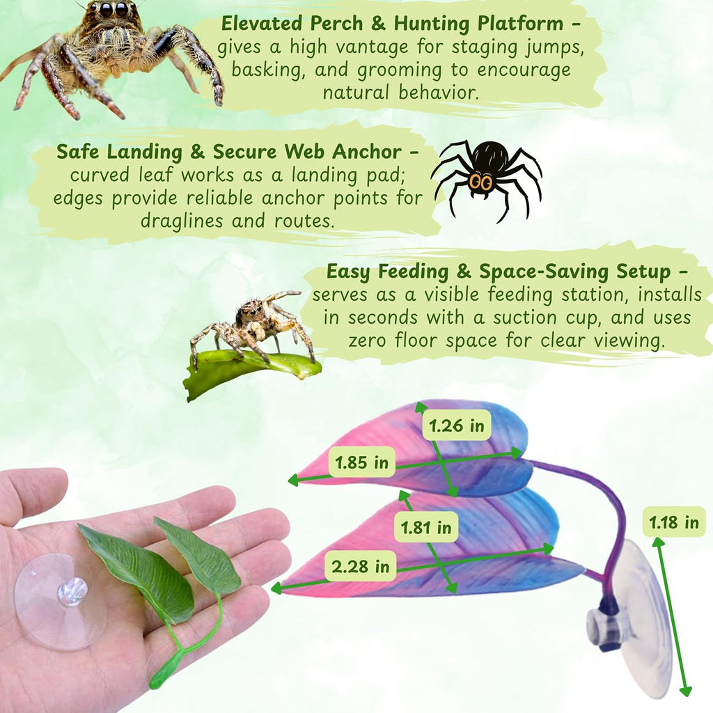 Jumping Spider Terrarium Enclosure Decor Decorations, Climbing Web with 3pcs Fruit Chairs and 2pcs Leaf Ledge, Enclosure Climbing Accessories, Mini Terrarium Decorations Kit