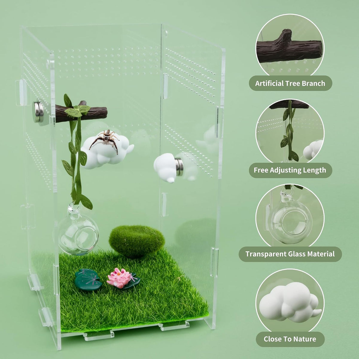 Jumping Spider Accessories for Decor Jumping Spider Enclosure Accessories 4 Pcs
