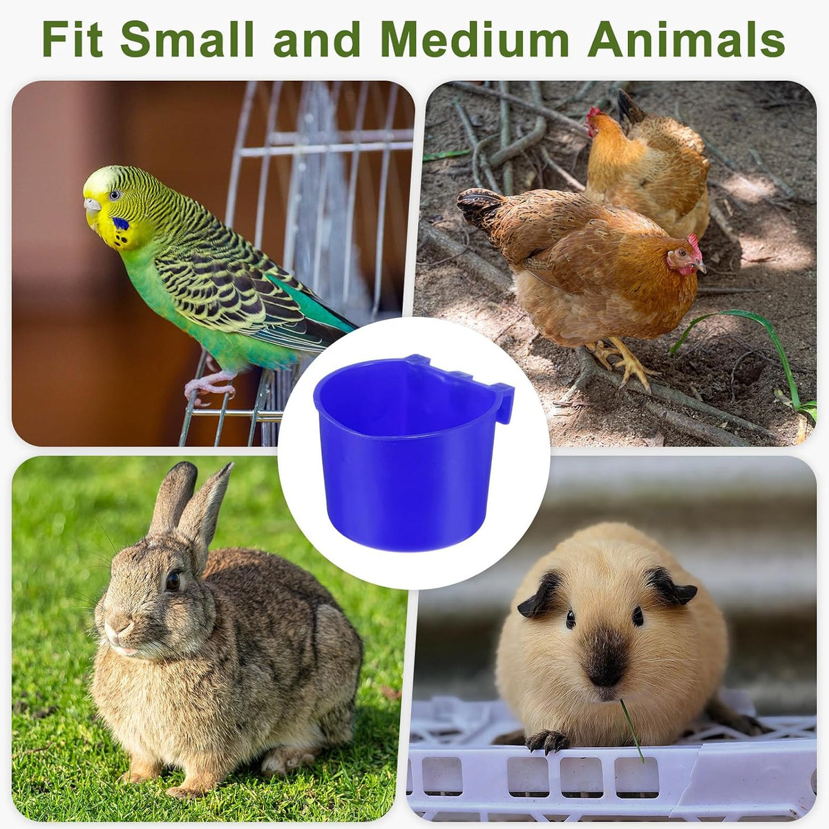 M METERXITY 10-Pack Bird Cage Cups 7 oz Plastic, Blue