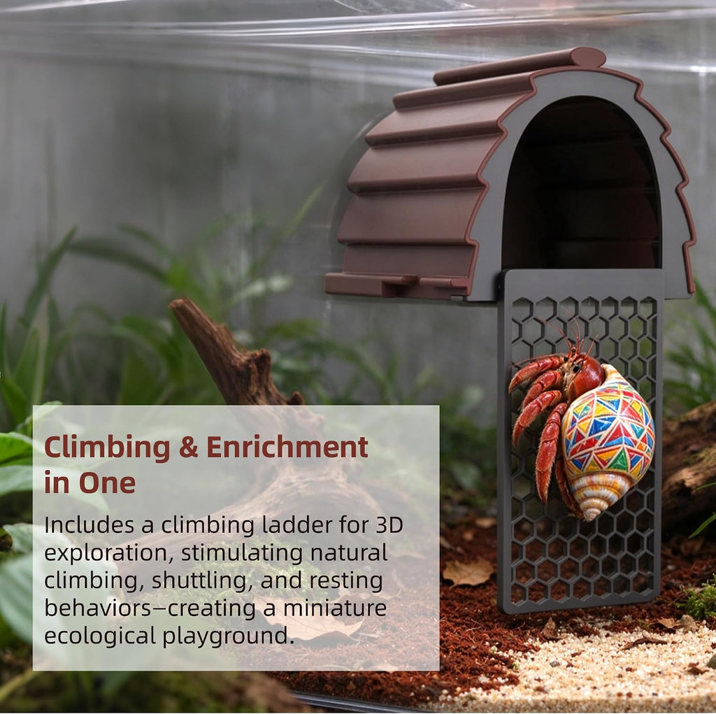 Moisture Resistant Hermit Crab Accessories, Foraging Cave with Ladder