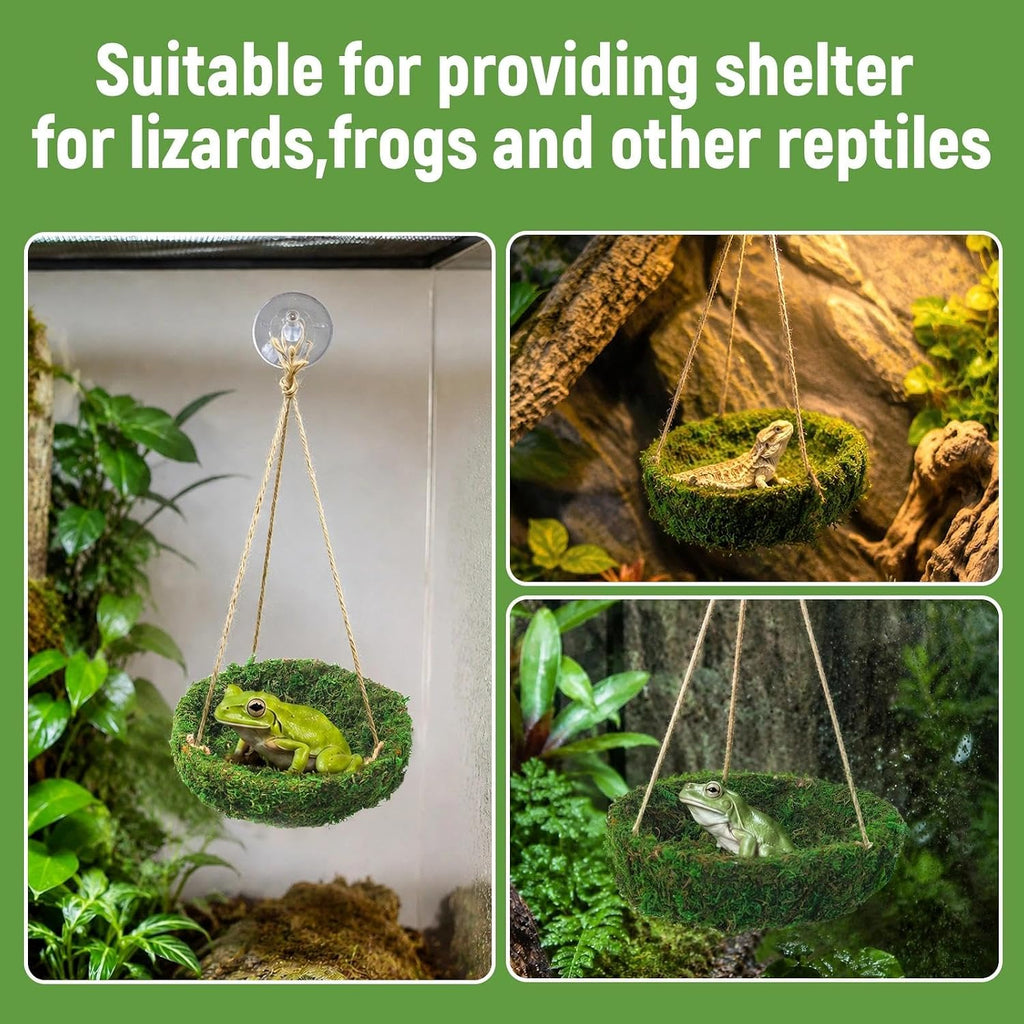 Frog Reptiles Cave Hide, Green Lizard Hideout with Safe Shelter