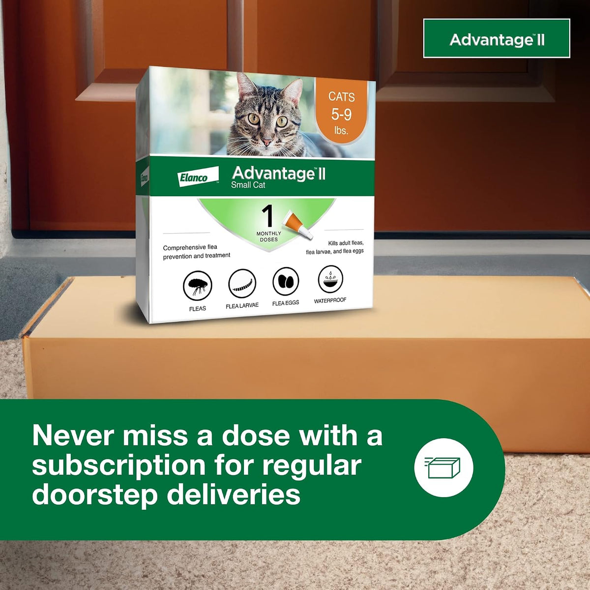 Advantage II Small Cat Topical Flea Treatment & Prevention, 1ct