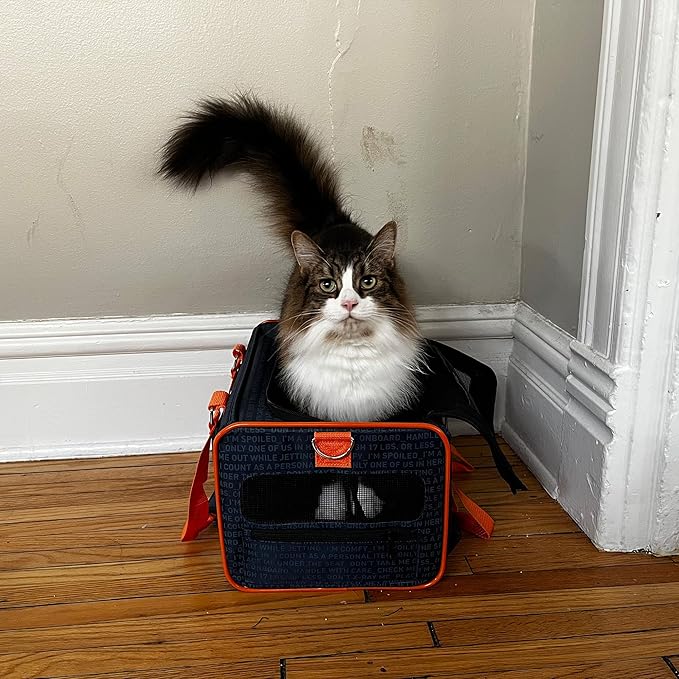 Official Pet Carrier of JetBlue Airlines Blue 16 inches - Image 2