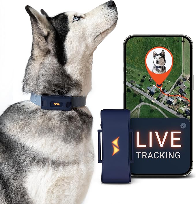 PAJ GPS Dog Tracker - 4G Real-Time Tracking & Runaway Alerts - Waterproof by PAJGPS