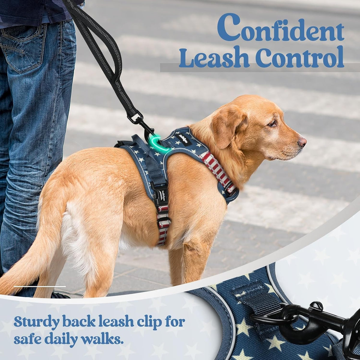 rabbitgoo Dog Harness, No Pull for Large Dogs with 2 Leash Clips, Pet Vest