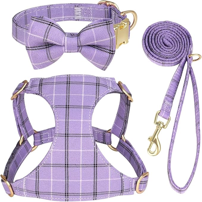 Beirui Cute Small Dog Harness Collar and Leash Set by Beirui