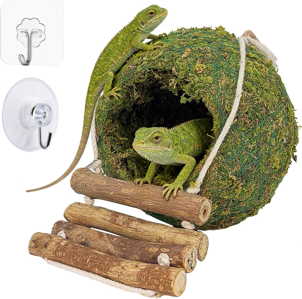 Handmade Moss Reptile Hanging Nest 4 Pcs Set, Large 6″ x 6″