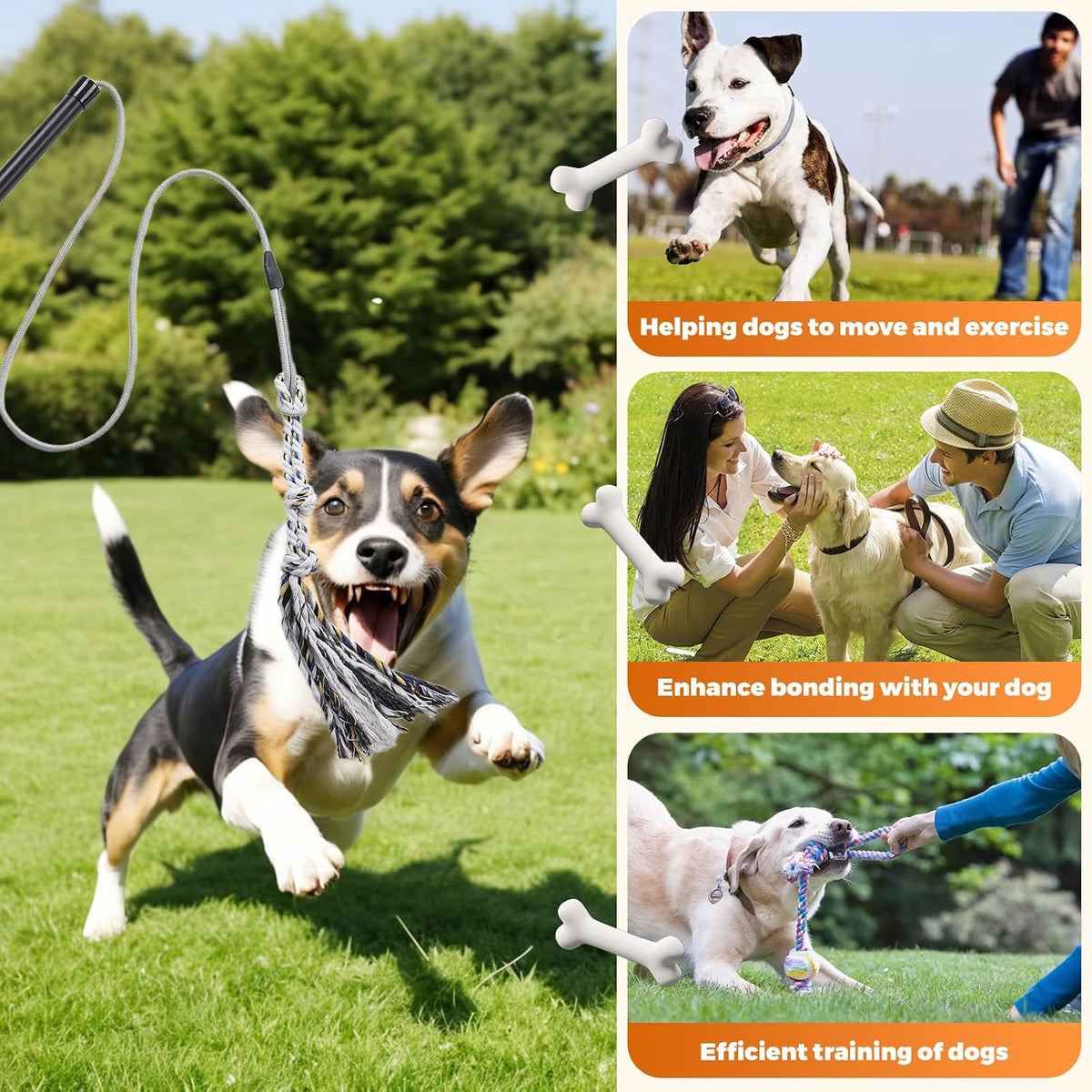 Pragmatist Outdoor Flirt Pole for Dog, Detachable Dog Flirt Pole Heavy Duty Sturdy Pet Toys for Outdoor Exercise & Training Durable Teaser Wand Interactive Toy for Small Medium Large Dogs, Black