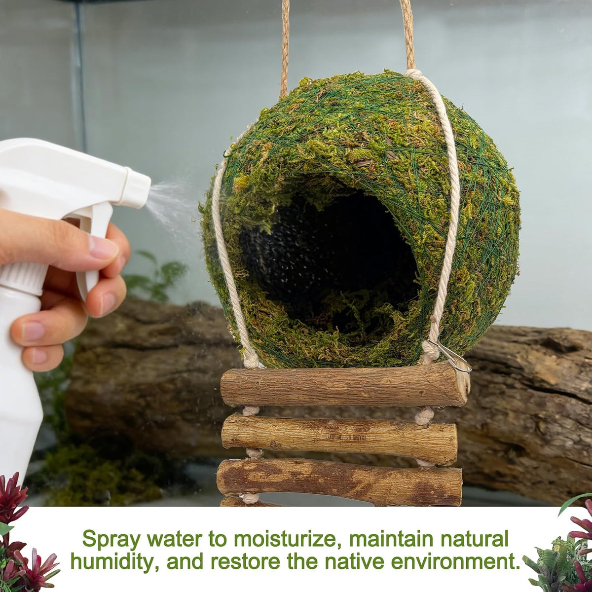 Handmade Moss Reptile Hanging Nest 4 Pcs Set, Large 6″ x 6″