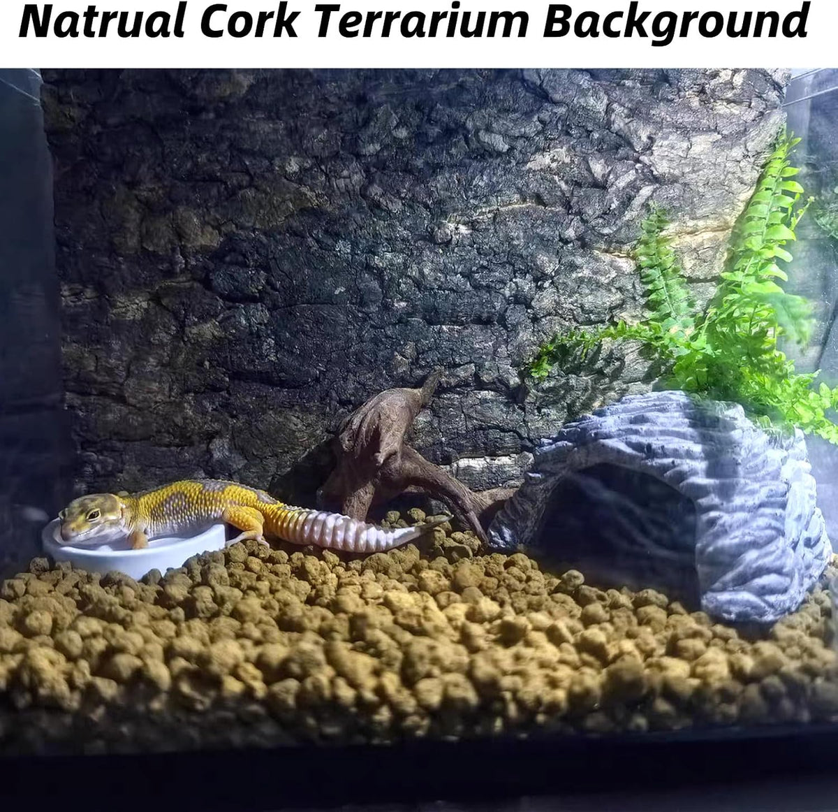 Hamiledyi 2PCS Cork Terrarium Background 15.7 x 11.8in Natural Cork Large Bark Backdrop Reptile Climbing Mat Habitat Decor Accessories for Beared Dragon Lizard Gecko Spider Chameleon Tortoise
