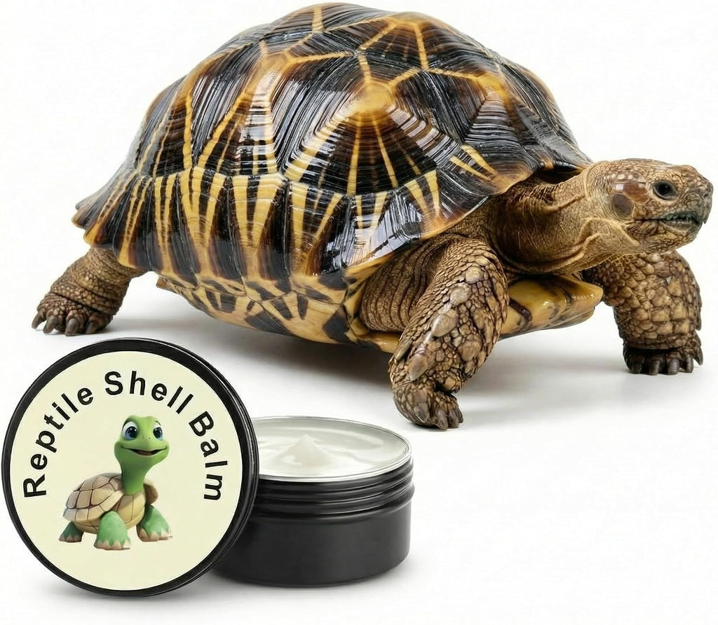 Tortoise Oinment Shell Conditioner Cream – Shell Care Balm Moisturizer for Box Turtles, Sulcata, Russian, Desert Tortoise Dry, Cracked or Dull Protector