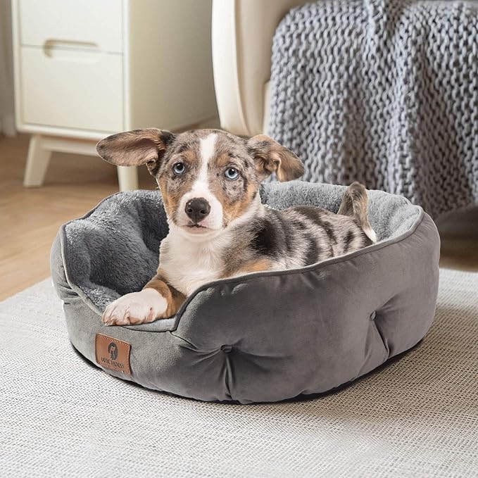 Asvin Medium Dog Bed for Medium Dogs, Cat Beds for Indoor Cats, Pet Bed for - Image 2