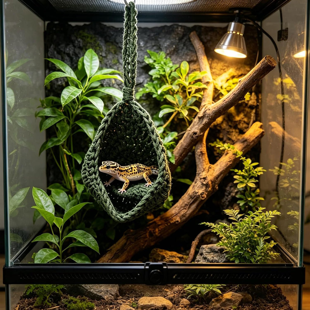 Snake Tank Accessories, Snake Enrichment Supplies, Snake Enclosure Accessories for Snakes, Lizards, Geckos and Small Reptiles