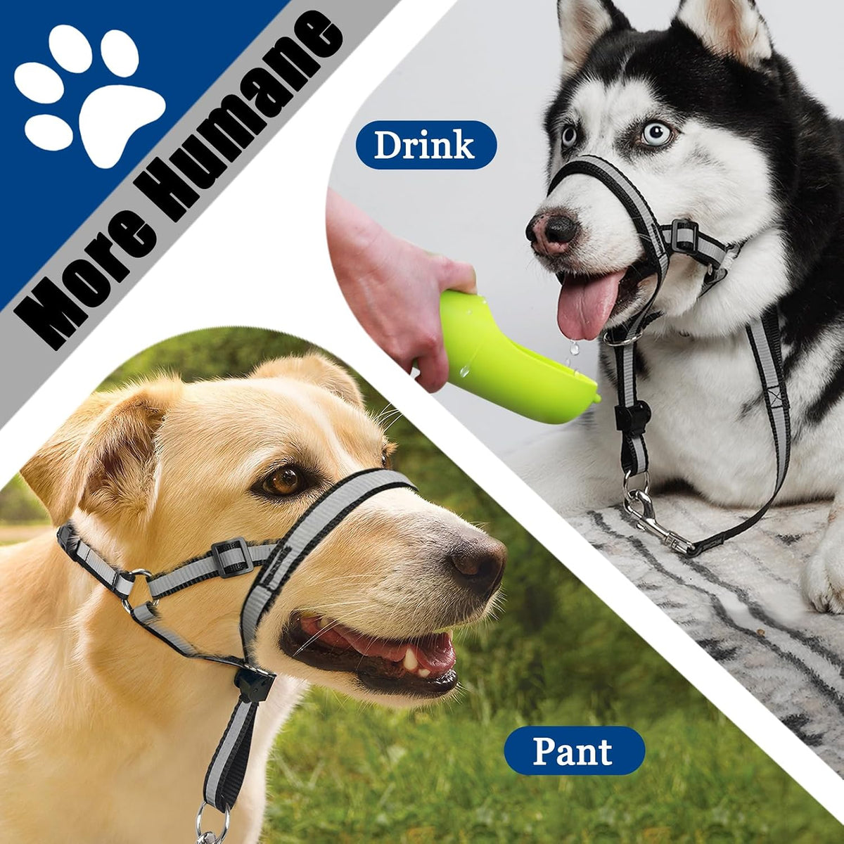 BARKLESS Reflective Head Collar, No Pull Collar for Medium Dogs