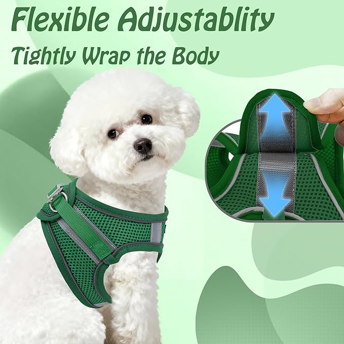 AIITLE Small Harness for Puppy - Image 5