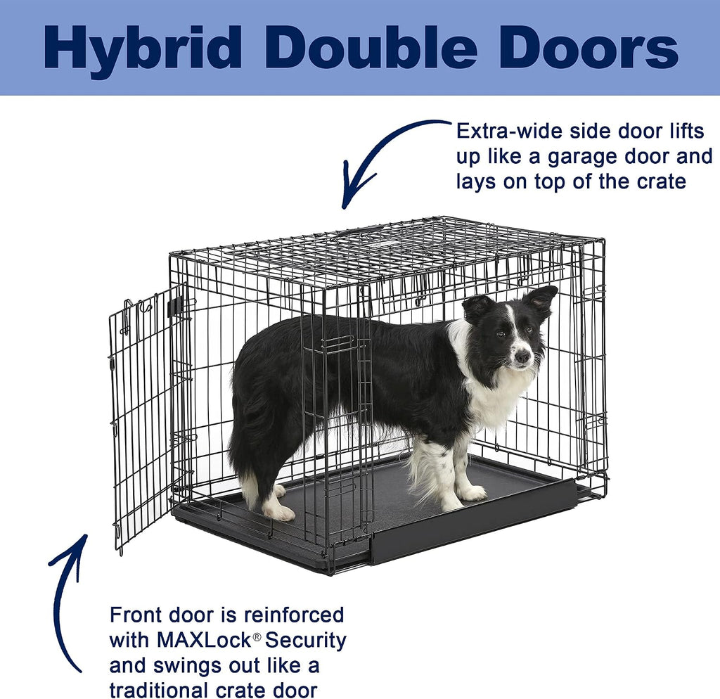 MidWest Homes for Pets Intermediate Ovation Double Door 36-inch Folding Metal Dog Crate, Front and Up & Away Side Doors, Space-Saving Design
