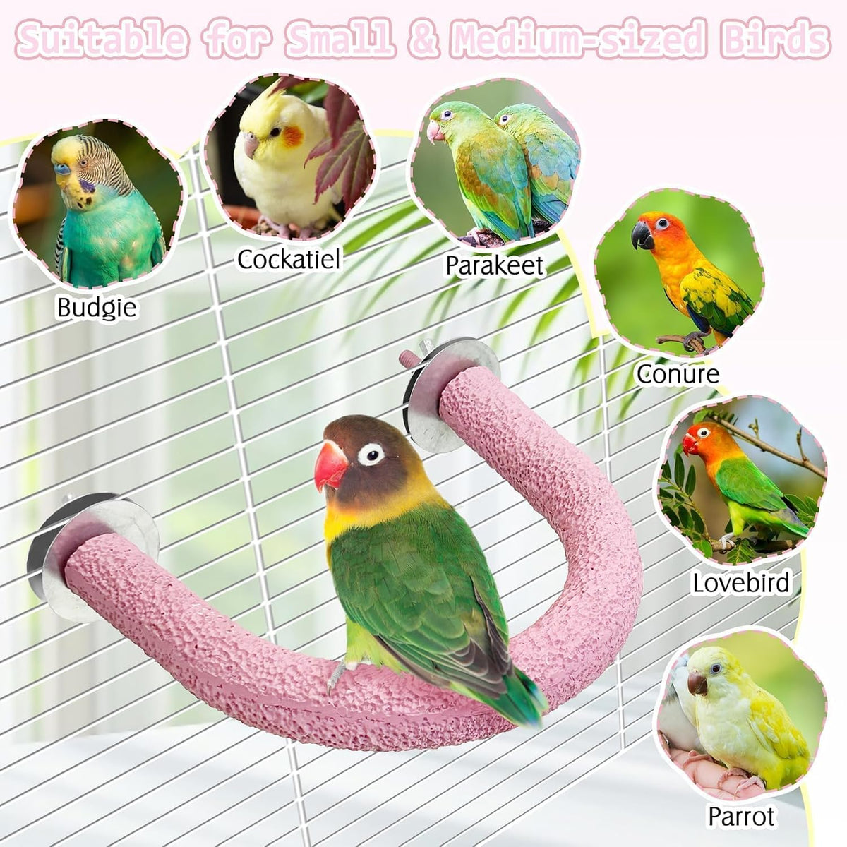 PINVNBY 5 Pack Bird Perch Resin Bird Beak Grinding Stone Parrot Cage Stand Platform Foot Claws Trimmer Chew Toy Cage Accessories for Budgie Cockatiel Conure Lovebird Finch (Pink)